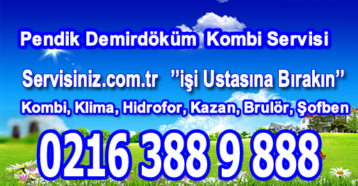 Pendik Demirdöküm Kombi Servisi